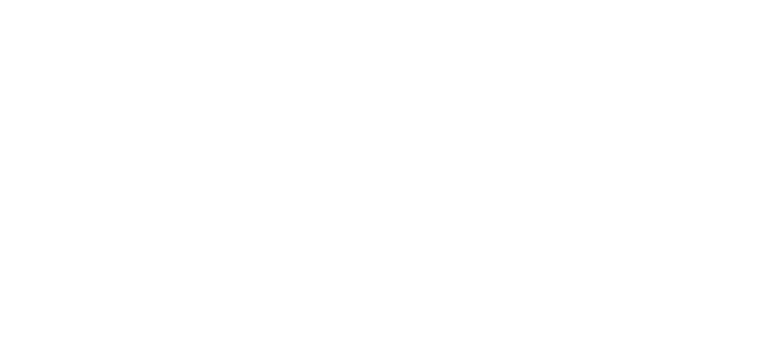 Vision Overseas Group